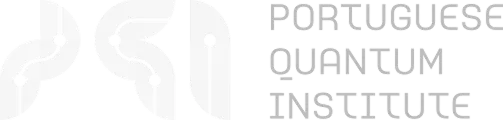 PQI Logo